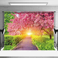 Aperturee - Aperturee Blossoming Pink Garden Path Sunlit Spring Backdrop