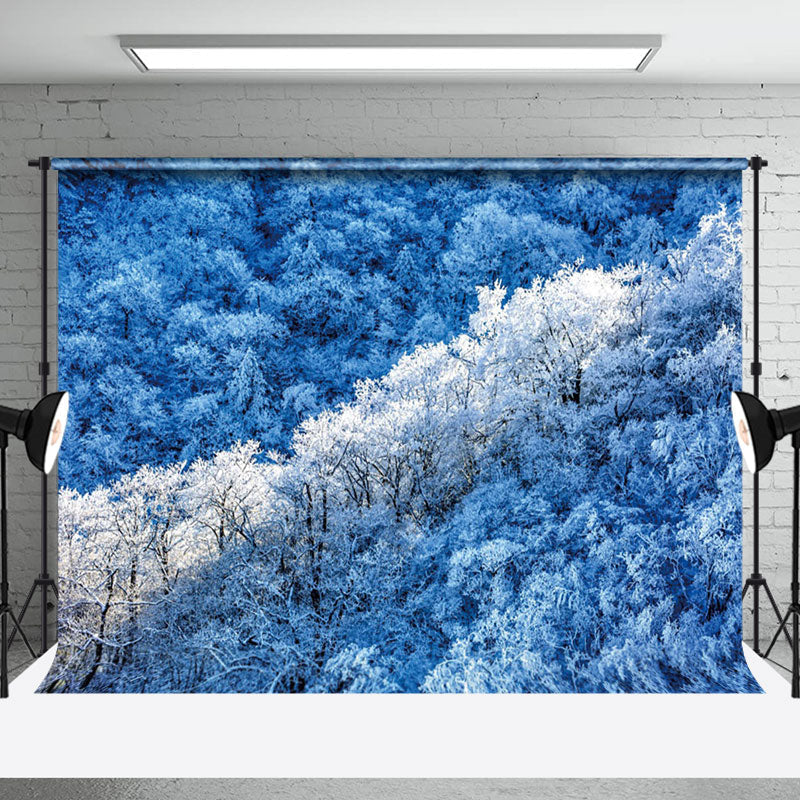 Aperturee - Aperturee Blue White Snow Winter Natural Forest Scene Backdrop