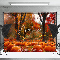 Aperturee - Aperturee Blurry Maple Grove Pumpkins Autumn Photo Backdrop