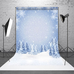 Aperturee - Aperturee Bokeh Silver Snowflake Cedar Winter Sweep Backdrop