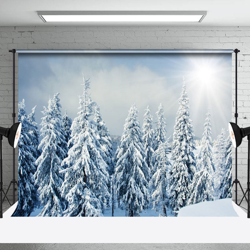 Aperturee - Aperturee Bright Sumshine Snowy Pine Forest Winter Backdrop