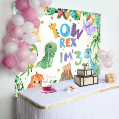 Aperturee - Aperturee Cartoon Colorful Dinosaurs 3rd Birthday Backdrop