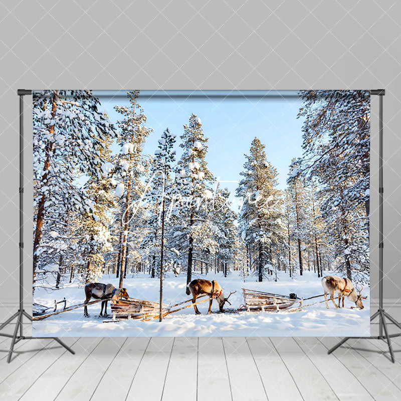 Aperturee - Aperturee Deer Pulling Sled Winter Forest Photography Backdrop