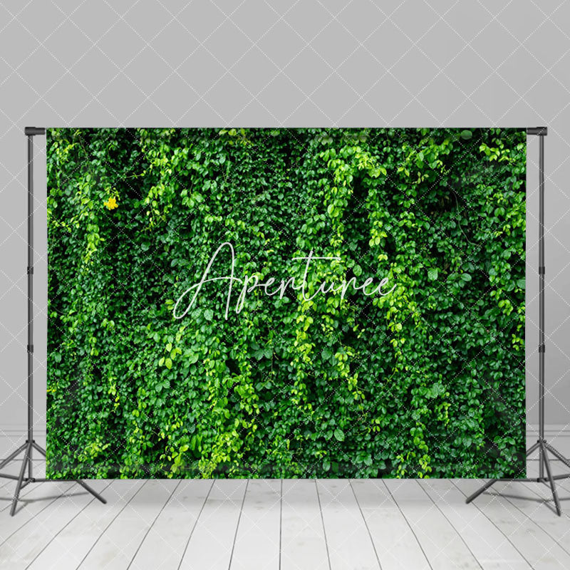 Aperturee - Aperturee Dense Green Wall Climbing Vines Spring Photo Backdrop