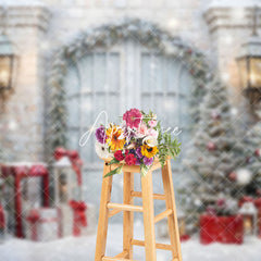 Aperturee - Aperturee Elegant Outdoor Scene Christmas Holiday Backdrop