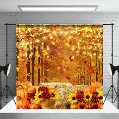 Aperturee - Aperturee Fall Lights Road Haystack Sunflower Autumn Backdrop