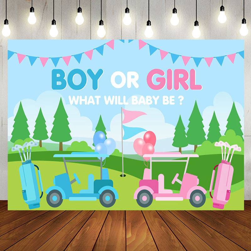 Aperturee - Aperturee Gender Reveal Golf Course Scene Blue Pink Backdrop