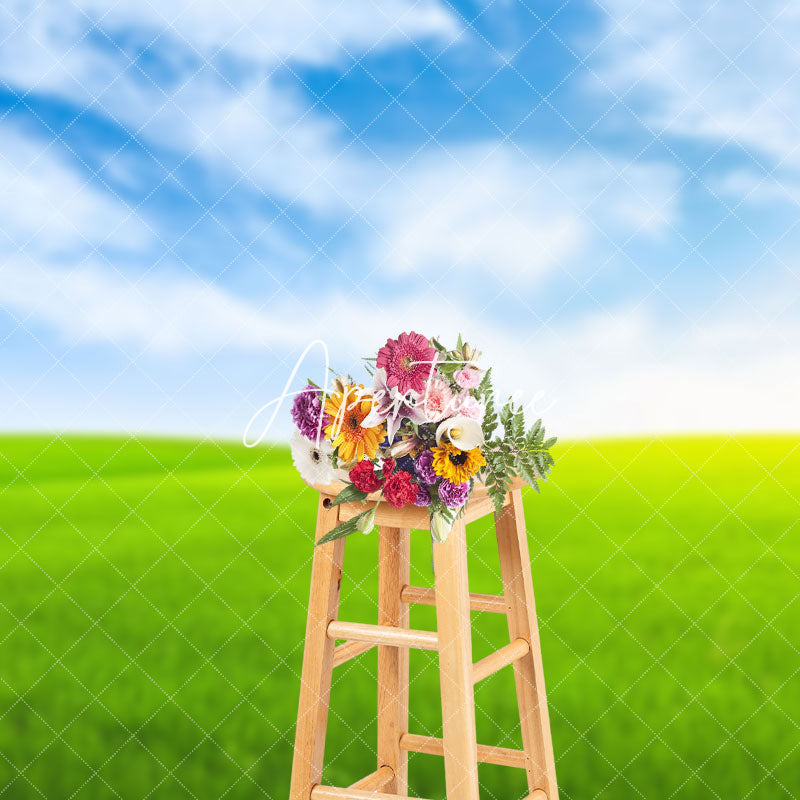 Aperturee - Aperturee Green Grassland And Blue Sky Photography Backdrop