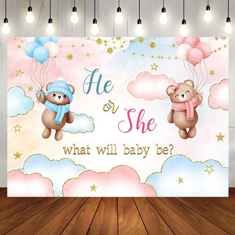 Aperturee - Aperturee He Or She Blue Pink Cloud Bear Gender Reveal Backdrop