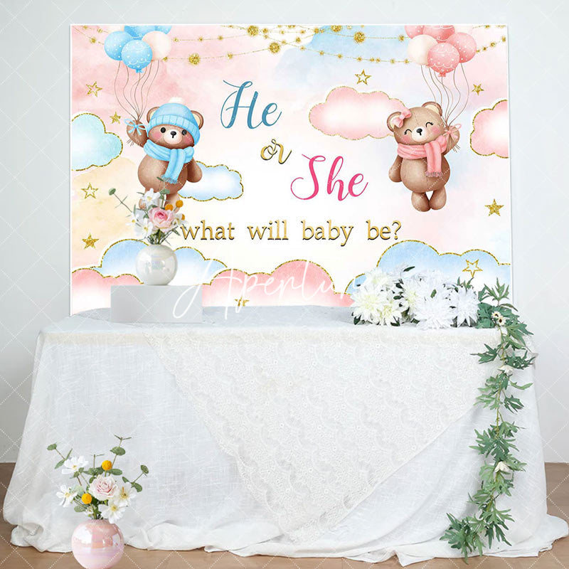 Aperturee - Aperturee He Or She Blue Pink Cloud Bear Gender Reveal Backdrop