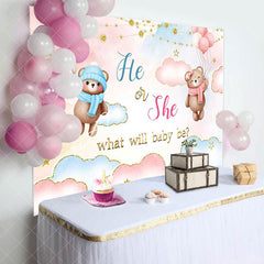 Aperturee - Aperturee He Or She Blue Pink Cloud Bear Gender Reveal Backdrop