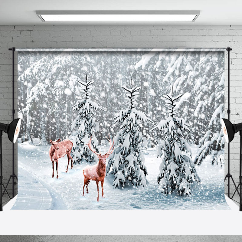 Aperturee - Aperturee Heavy Snow White Pine Forest Elk Winter Backdrop