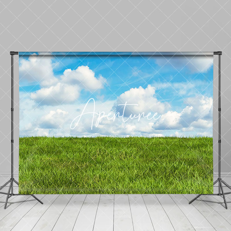 Aperturee - Aperturee Lovely Clouds Lush Grassland Photography Backdrop