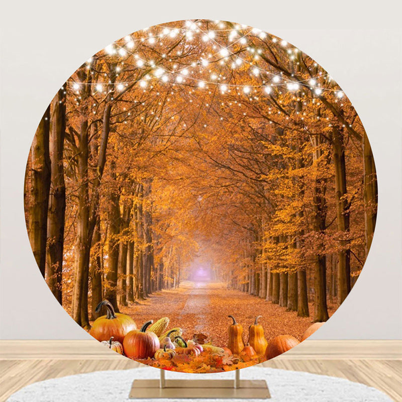 Aperturee - Aperturee Maple Grove Light Strip Pumpkin Round Autumn Backdrop