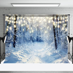 Aperturee - Aperturee Mystic Winter Forest Sunlit Snowy Canopy Backdrop