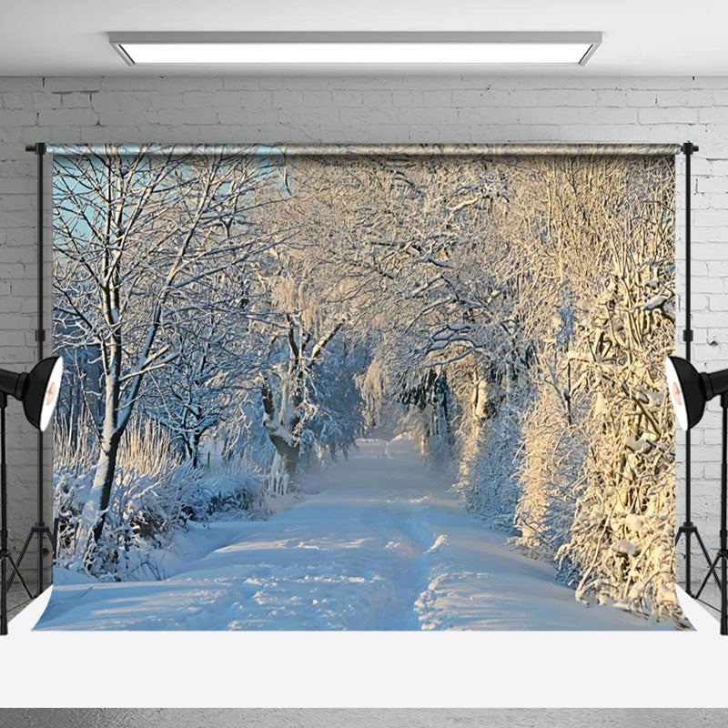 Aperturee - Aperturee Peaceful Winter Forest Pathway Sunlit Scene Backdrop