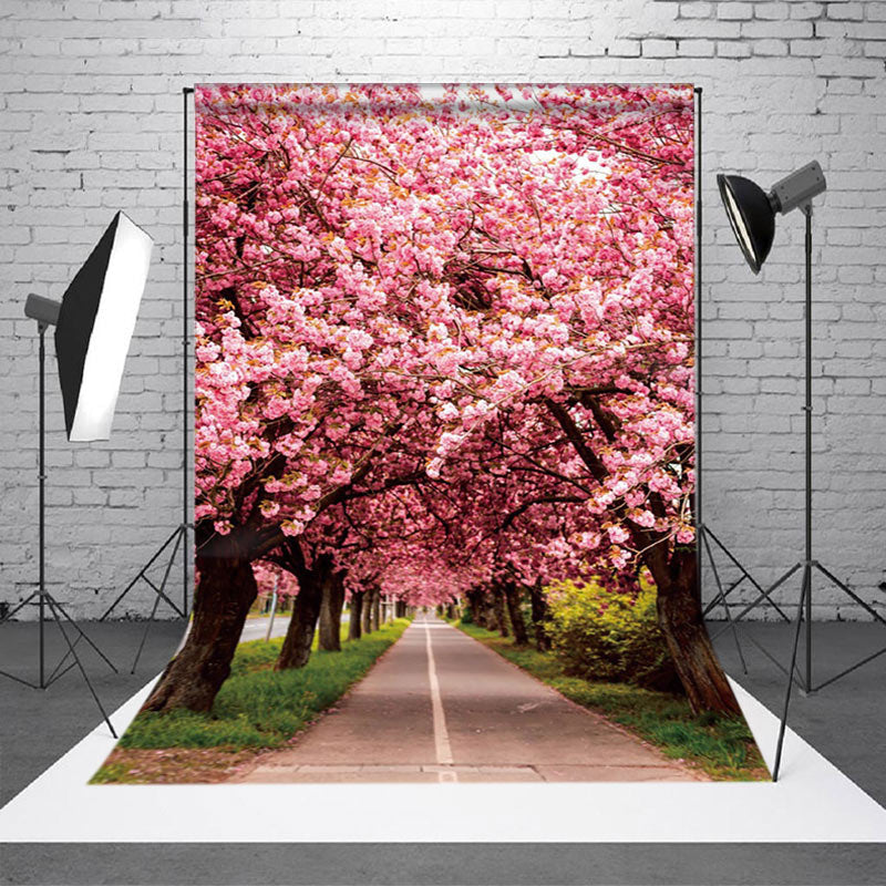 Aperturee - Aperturee Pink Sakura Lined Road Sweet Spring Scenery Backdrop