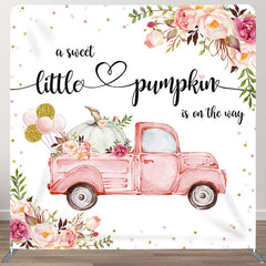 Aperturee - Aperturee Pumpkin Pink Car Fabric Backdrop Cover for Baby Shower