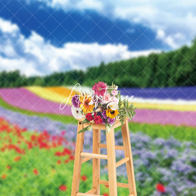 Aperturee - Aperturee Rainbow Flower Field Blue Sky Spring Photo Backdrop