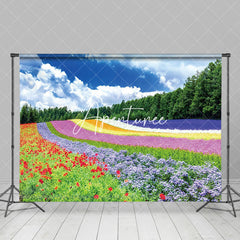 Aperturee - Aperturee Rainbow Flower Field Blue Sky Spring Photo Backdrop