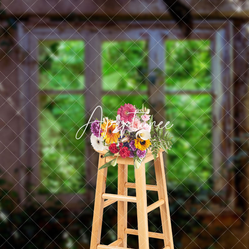 Aperturee - Aperturee Retro Stone Window Greenery Sunlight Spring Backdrop