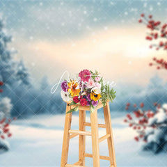 Aperturee - Aperturee Serene Winter Landscape Wishing Well Wishes Backdrop