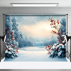 Aperturee - Aperturee Serene Winter Landscape Wishing Well Wishes Backdrop