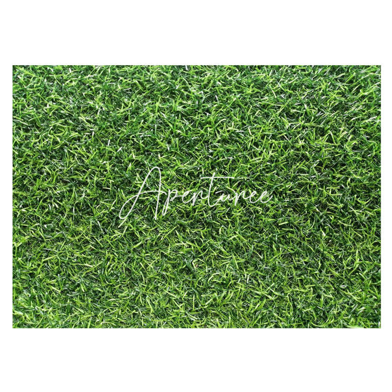 Aperturee - Aperturee Spring Natural Green Lawn Grass Rubber Floor Mat