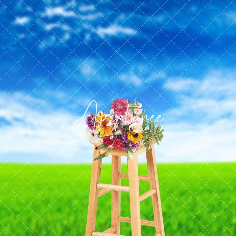 Aperturee - Aperturee Sunny Prairie Blue Sky Landscape Photo Backdrop