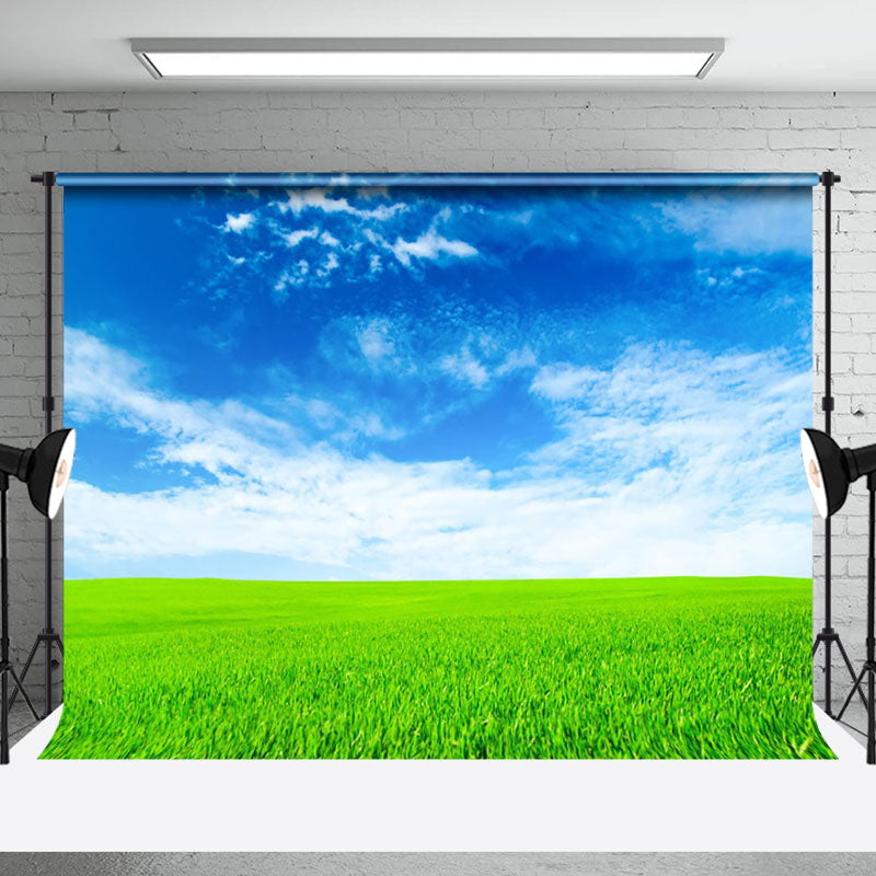 Aperturee - Aperturee Sunny Prairie Blue Sky Landscape Photo Backdrop