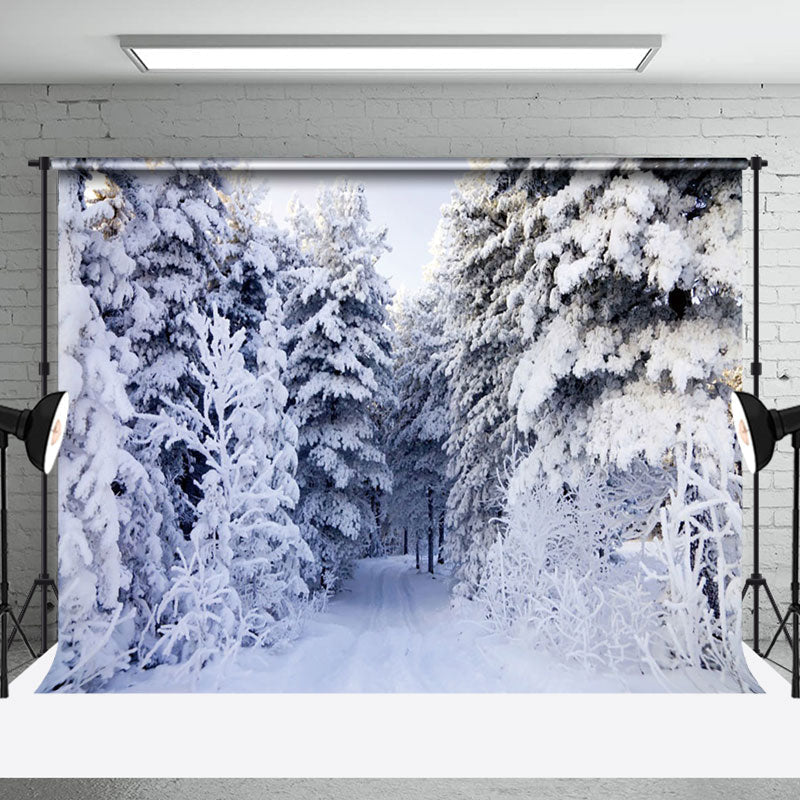 Aperturee - Aperturee Thick White Snow Pine Forest Path Winter Backdrop