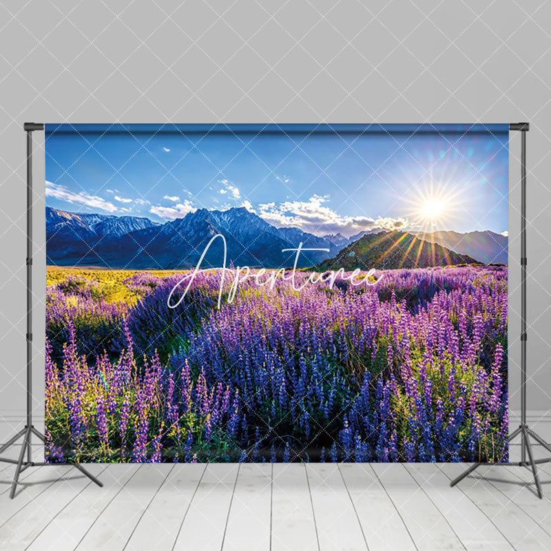 Aperturee - Aperturee Tranquil Lavender Field Mountains Sunrise Backdrop