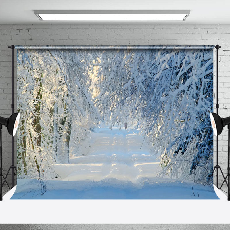 Aperturee - Aperturee Tranquil Winter Forest Pathway With Sunbeam Backdrop