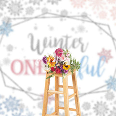 Aperturee - Aperturee Winter One Derland Pink Blue Gender Reveal Backdrop