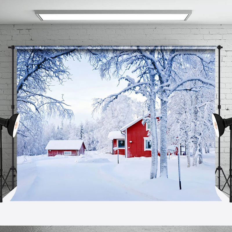 Aperturee - Aperturee Winter Snowy Wild Field Red House Scene Backdrop