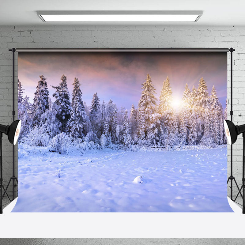 Aperturee - Aperturee Winter Warm Sunlight Snowy Forest Scene Backdrop