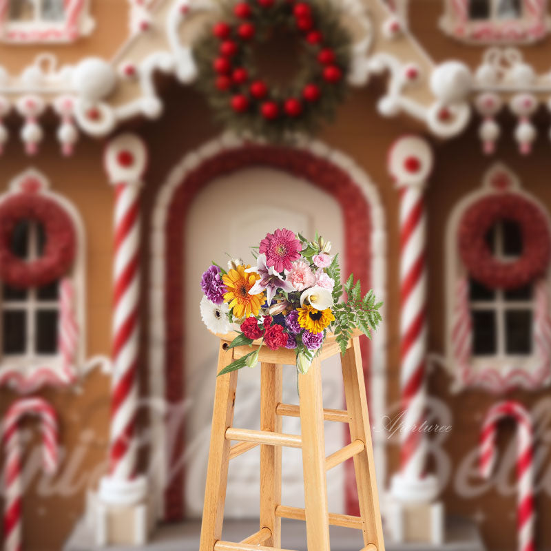 Aperturee - Arched Door House Christmas Backdrop For Photography