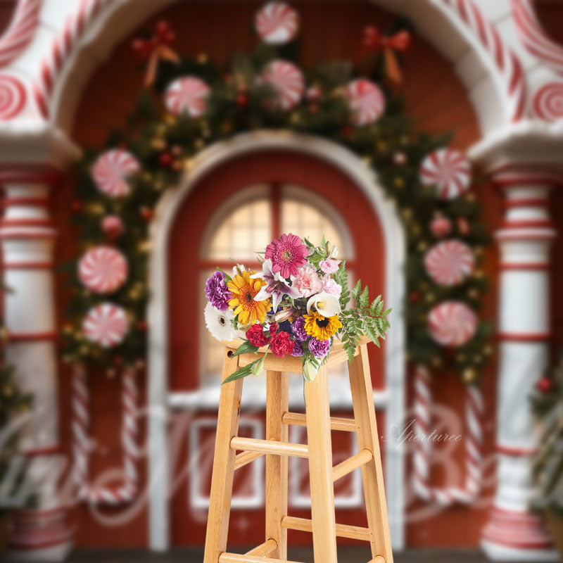 Aperturee - Arched Door Tree Photography Christmas Backdrop