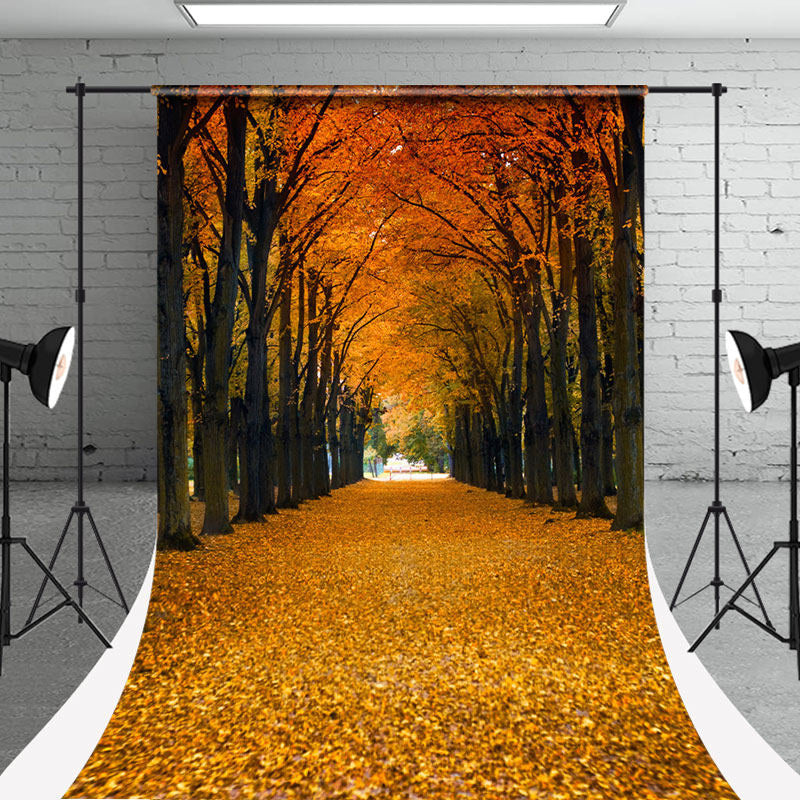 Aperturee - Autumn Maple Tree Fall Leaves Photo Sweep Backdrop