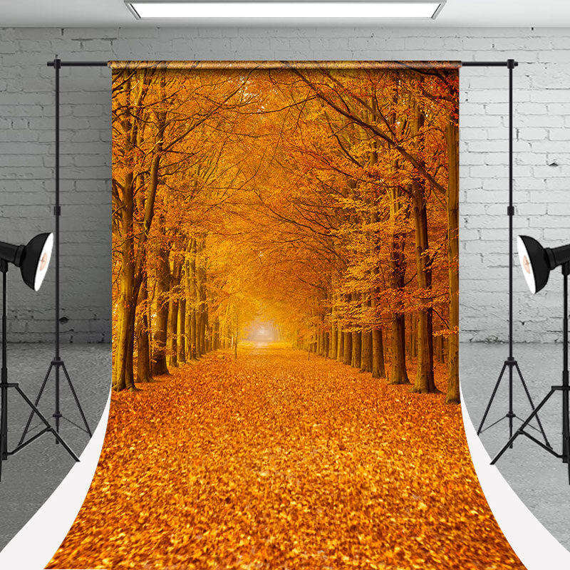 Aperturee - Autumn Maple Tree Leaves Photography Sweep Backdrop