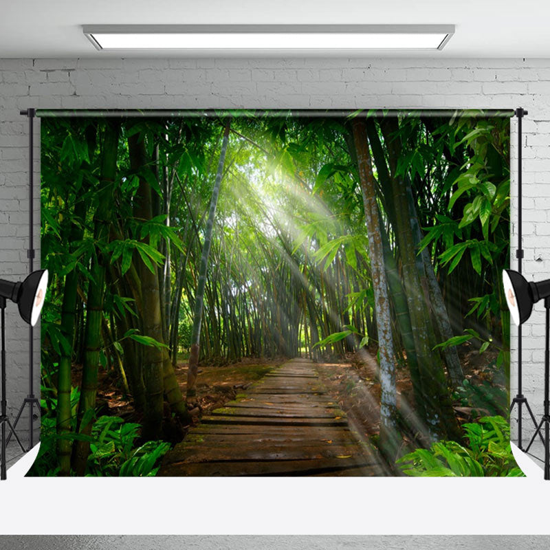 Aperturee - Bamboo Forest Wooden Path Sunlight Spring Backdrop