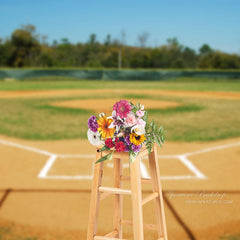 Aperturee - Baseball Park Blue Sky Sports Photography Backdrop