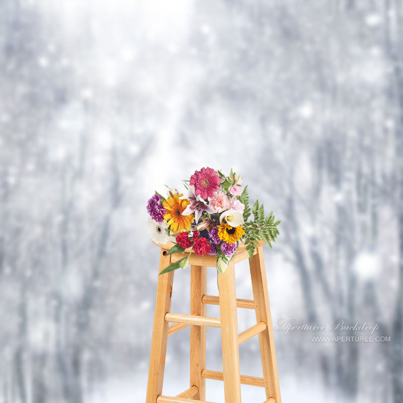 Aperturee - Beautiful Black White Snow Forest Winter Backdrop