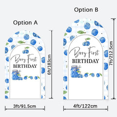 Aperturee - Berry First Birthday Double Sided Arch Backdrop