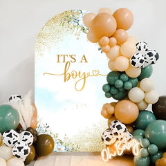 Aperturee - Blue Floral Gold Baby Shower Boy Party Arch Backdrop