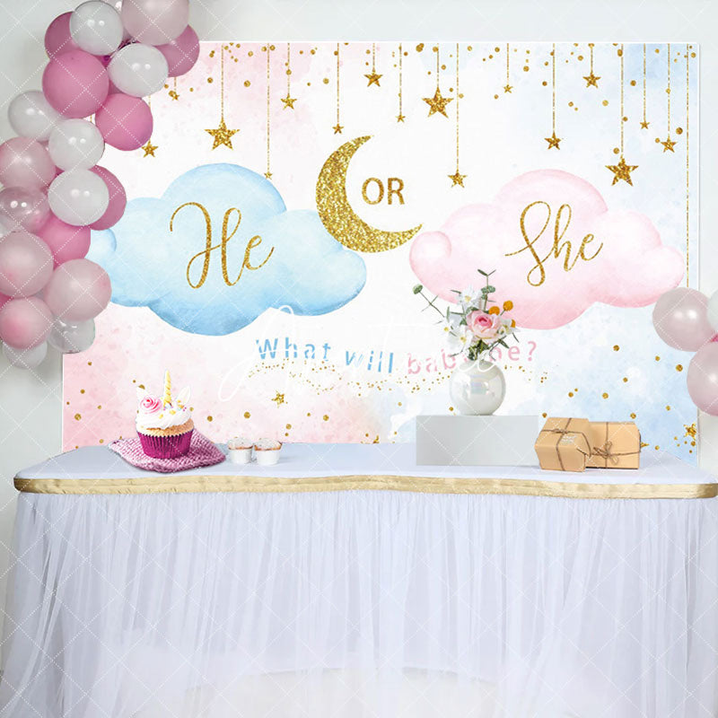 Aperturee - Blue Pink He Or She Cloud Gender Reveal Backdrop