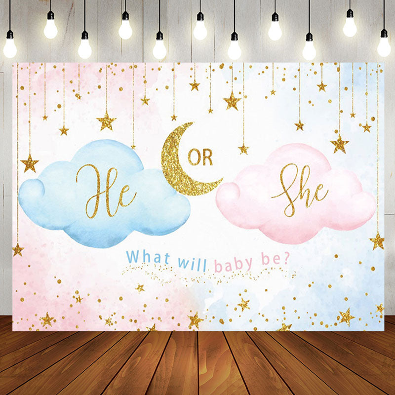 Aperturee - Blue Pink He Or She Cloud Gender Reveal Backdrop