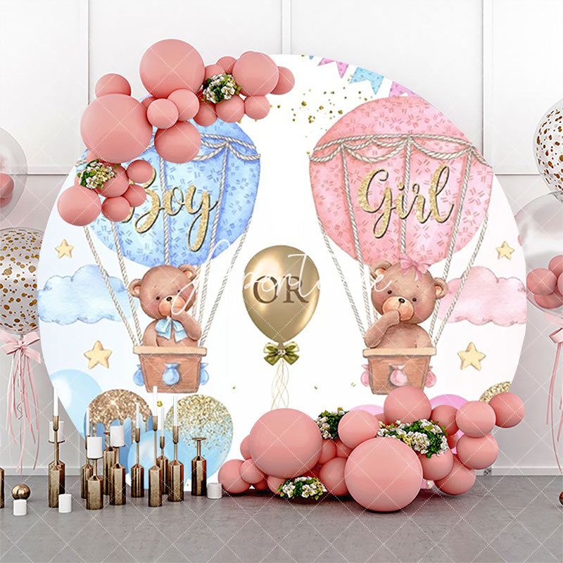 Aperturee - Blue Pink Hot Balloon Round Gender Reveal Backdrop