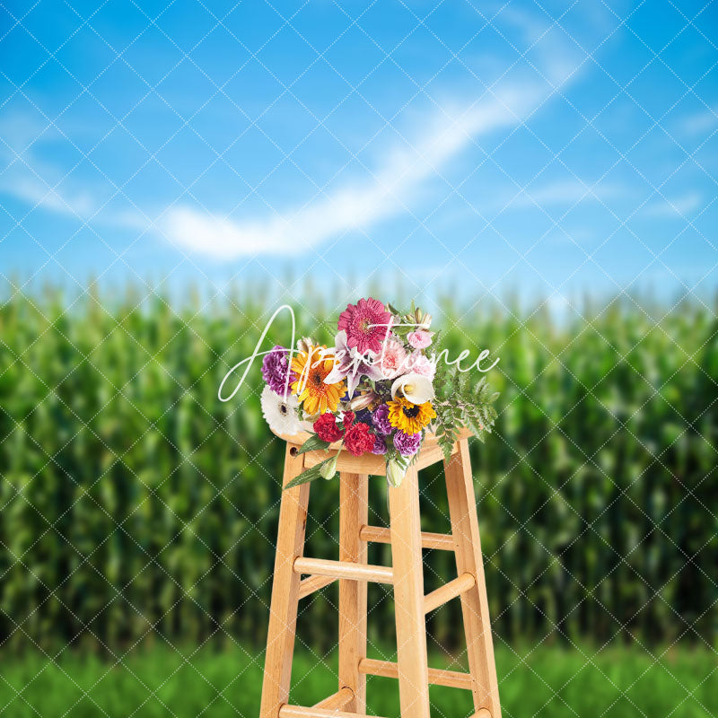 Aperturee - Blue Sky Green Cornfield Summer Backdrop For Photo