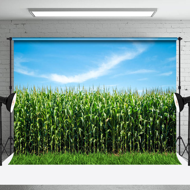 Aperturee - Blue Sky Green Cornfield Summer Backdrop For Photo